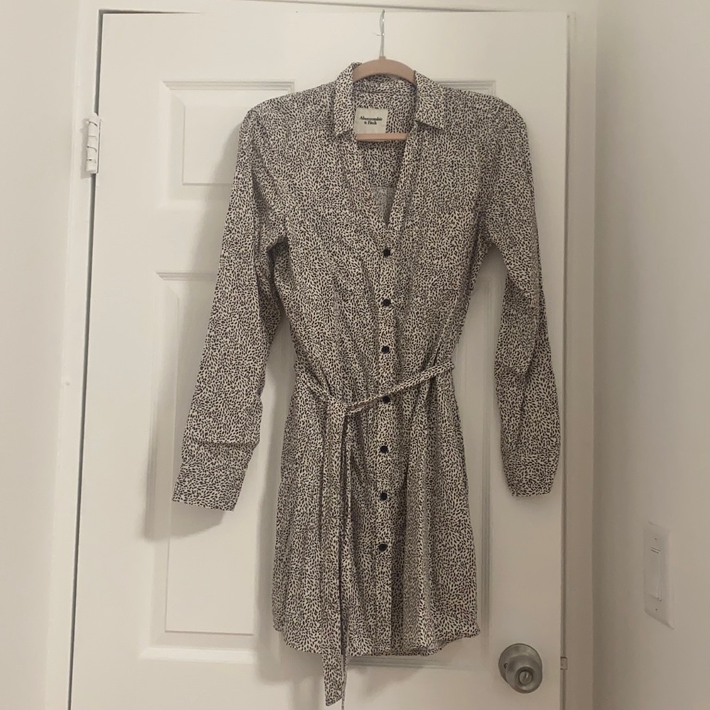 Fall / Spring Dress - Abercrombie and Fitch